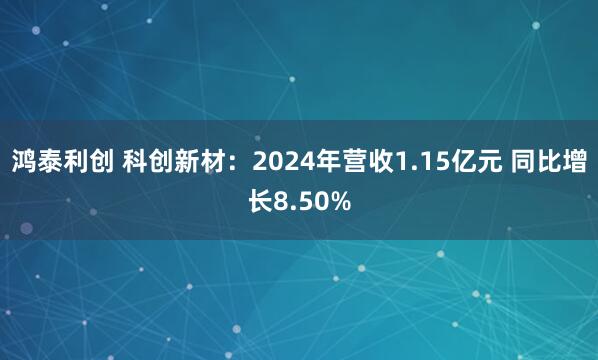 鸿泰利创 科创新材：2024年营收1.15亿元 同比增长8.50%