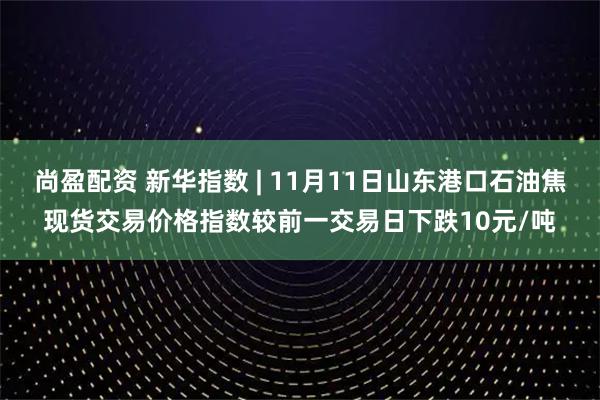 尚盈配资 新华指数 | 11月11日山东港口石油焦现货交易价格指数较前一交易日下跌10元/吨